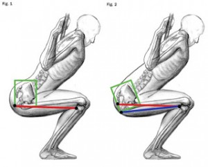 squat-fig-12