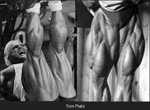 tom-platz